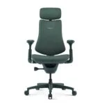 LiberNovo Omni Dynamic — Moss Green